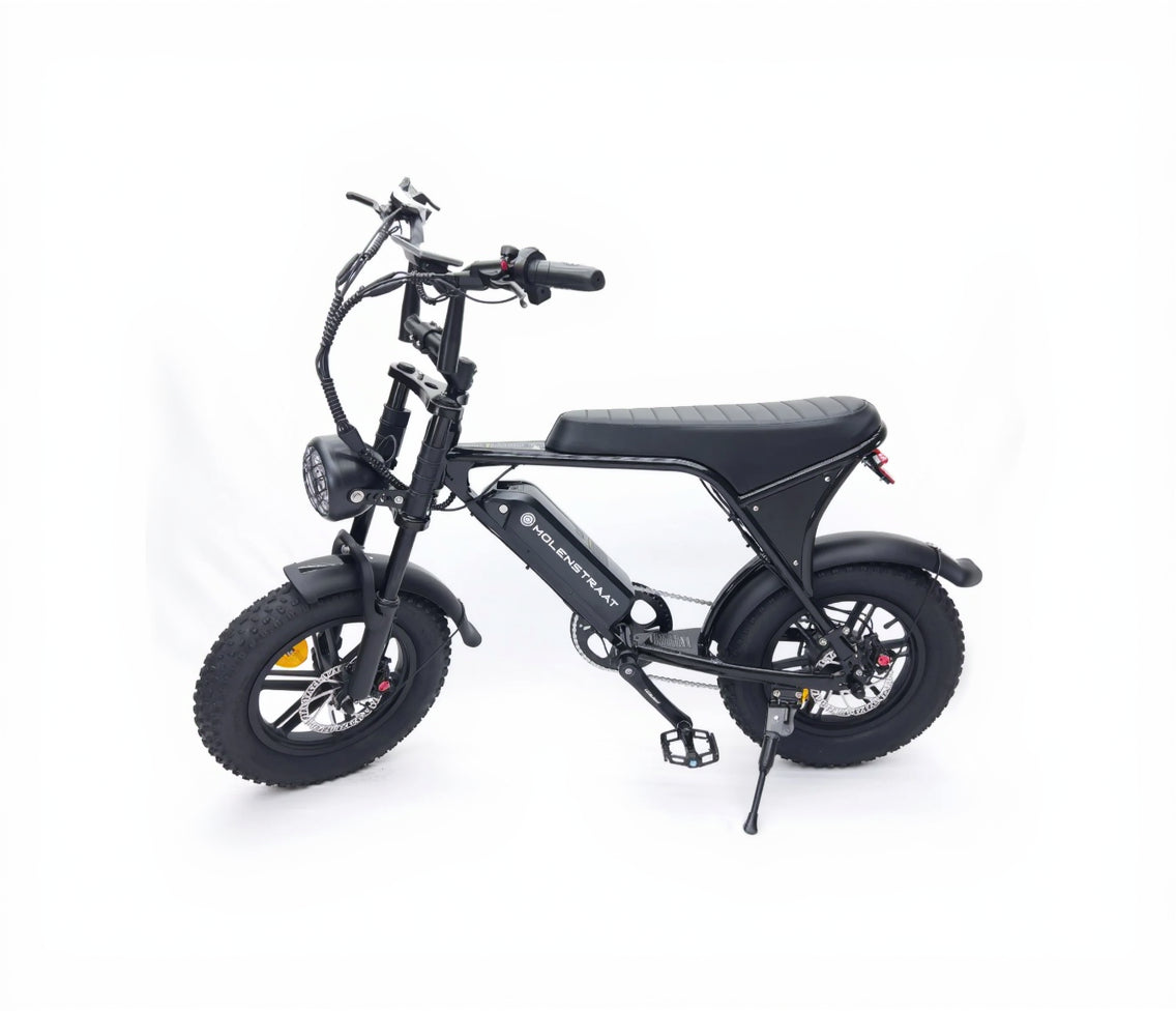 MINI MS (Occasion)