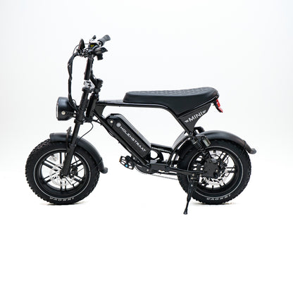 MINI MS